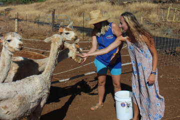 a close up of a person holding an animal